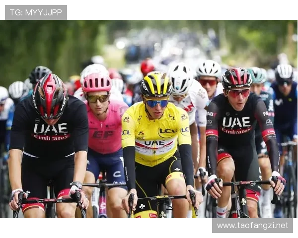 24环法自行车赛(环法自行车赛规则视频)sports