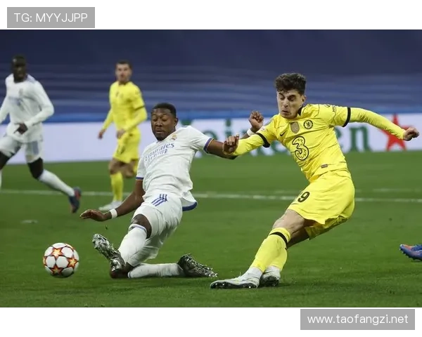 nzl足球赛事(足球赛程2021比分)sports